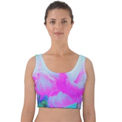 Abstract Pink Hibiscus Bloom With Flower Power Velvet Crop Top by myrubiogarden