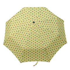 A Hexagonal Pattern Folding Umbrellas by Pakrebo