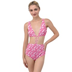 Phlox Spring April May Pink Tied Up Two Piece Swimsuit