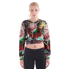 Dedelion Cropped Sweatshirt