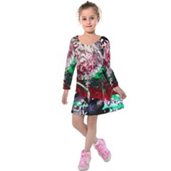 Dedelion Kids  Long Sleeve Velvet Dress