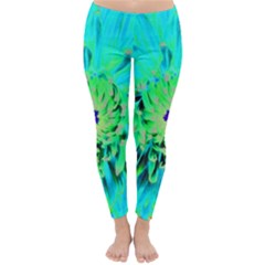 Aqua Cactus Dahlia Classic Winter Leggings