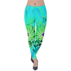 Aqua Cactus Dahlia Velvet Leggings