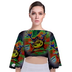 Abstract Transparent Background Tie Back Butterfly Sleeve Chiffon Top by Pakrebo