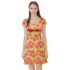 Maple Leaf Autumnal Leaves Autumn Short Sleeve Skater Dress by Pakrebo