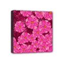 Cherry Blossoms Floral Design Mini Canvas 4  x 4  (Stretched) View1