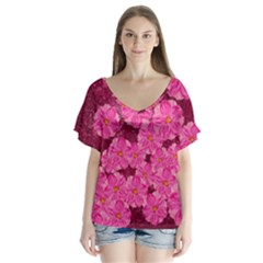 Cherry Blossoms Floral Design V-neck Flutter Sleeve Top by Pakrebo