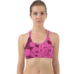 Cherry Blossoms Floral Design Back Web Sports Bra