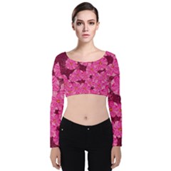 Cherry Blossoms Floral Design Velvet Long Sleeve Crop Top