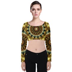 Pattern Abstract Background Art Velvet Long Sleeve Crop Top