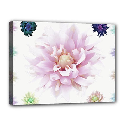 Abstract Transparent Image Flower Canvas 16  X 12  (stretched) by Pakrebo