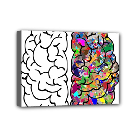 Brain Mind A I Ai Anatomy Mini Canvas 7  X 5  (stretched) by Pakrebo