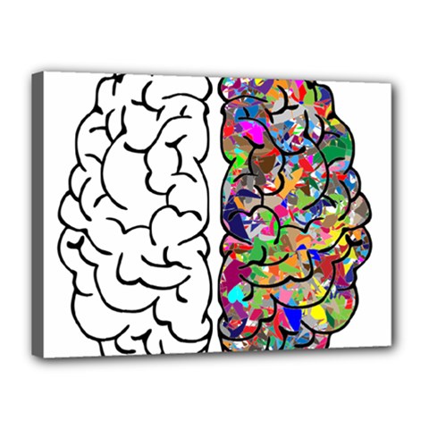 Brain Mind A I Ai Anatomy Canvas 16  X 12  (stretched) by Pakrebo