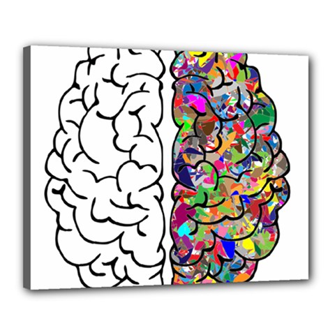 Brain Mind A I Ai Anatomy Canvas 20  X 16  (stretched) by Pakrebo