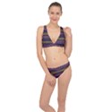 Stripes Pink Yellow Purple Grey Classic Banded Bikini Set  View1