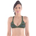 Stripes Teal Yellow Brown Grey Plunge Bikini Top View1