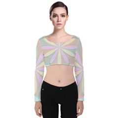 Flower Stained Glass Window Symmetry Velvet Long Sleeve Crop Top by Pakrebo