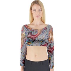 Fractal Artwork Design Pattern Long Sleeve Crop Top by Pakrebo