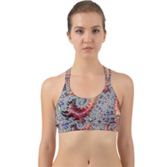 Fractal Artwork Design Pattern Back Web Sports Bra by Pakrebo