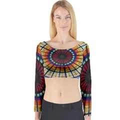 Background Stained Glass Window Long Sleeve Crop Top by Pakrebo