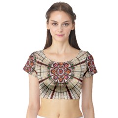 Pattern Round Abstract Geometric Short Sleeve Crop Top by Pakrebo