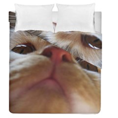 Funny Cute Cat Macro Eyes Duvet Cover Double Side (queen Size) by LoolyElzayat