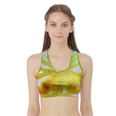 Abstract Background Tremble Render Sports Bra With Border by Mariart