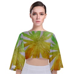 Abstract Background Tremble Render Tie Back Butterfly Sleeve Chiffon Top by Mariart