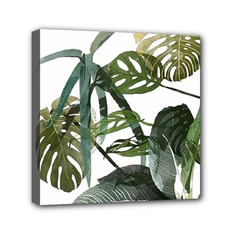 Botanical Illustration Palm Leaf Mini Canvas 6  X 6  (stretched) by Mariart