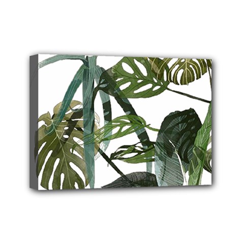 Botanical Illustration Palm Leaf Mini Canvas 7  X 5  (stretched) by Mariart