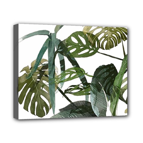 Botanical Illustration Palm Leaf Canvas 10  X 8  (stretched) by Mariart