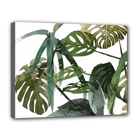 Botanical Illustration Palm Leaf Canvas 14  X 11  (stretched) by Mariart