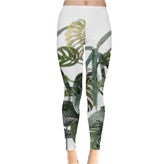 Botanical Illustration Palm Leaf Leggings  by Mariart