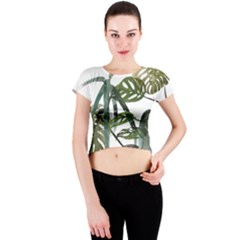 Botanical Illustration Palm Leaf Crew Neck Crop Top by Mariart