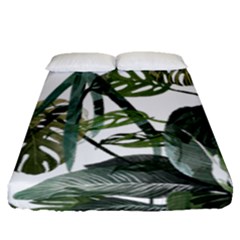 Botanical Illustration Palm Leaf Fitted Sheet (queen Size) by Mariart