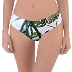 Botanical Illustration Palm Leaf Reversible Classic Bikini Bottoms by Mariart