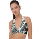 Botanical Illustration Palm Leaf Halter Plunge Bikini Top View1