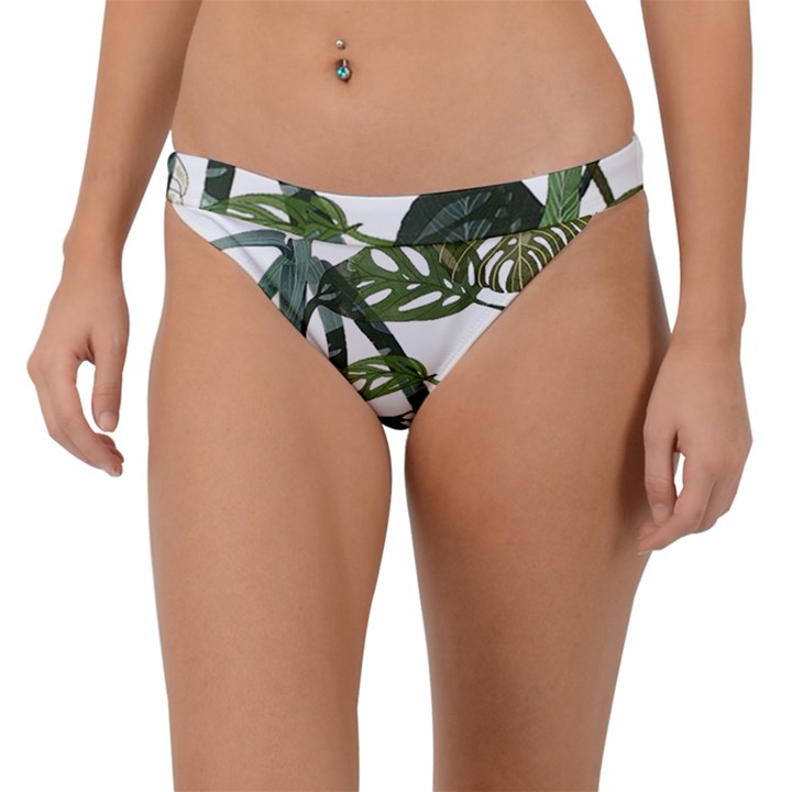 Botanical Illustration Palm Leaf Band Bikini Bottom