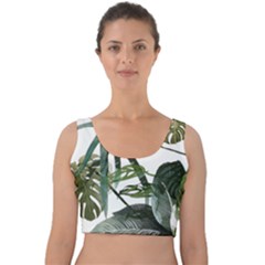 Botanical Illustration Palm Leaf Velvet Crop Top