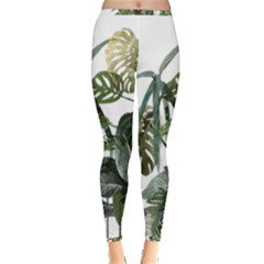 Botanical Illustration Palm Leaf Inside Out Leggings by Mariart