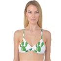 Cactaceae Thorns Spines Prickles Reversible Tri Bikini Top View1