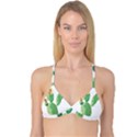 Cactaceae Thorns Spines Prickles Reversible Tri Bikini Top View3