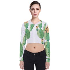 Cactaceae Thorns Spines Prickles Long Sleeve Zip Up Bomber Jacket by Mariart