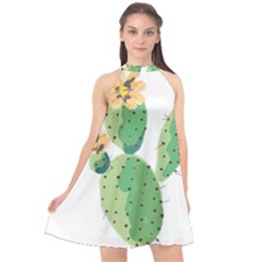 Cactaceae Thorns Spines Prickles Halter Neckline Chiffon Dress  by Mariart