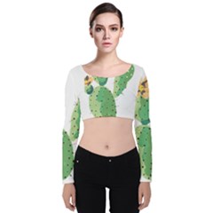 Cactaceae Thorns Spines Prickles Velvet Long Sleeve Crop Top