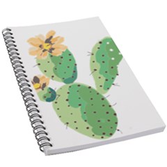 Cactaceae Thorns Spines Prickles 5 5  X 8 5  Notebook