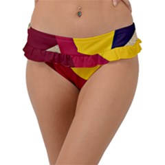 Circle Half Circle Colorful Frill Bikini Bottom