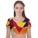 Circle Half Circle Colorful Velvet Short Sleeve Crop Top  View1