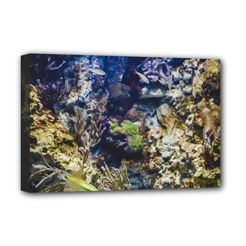 Under The Sea Deluxe Canvas 18  X 12  (stretched)