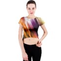 Rainbow Light Crew Neck Crop Top View1